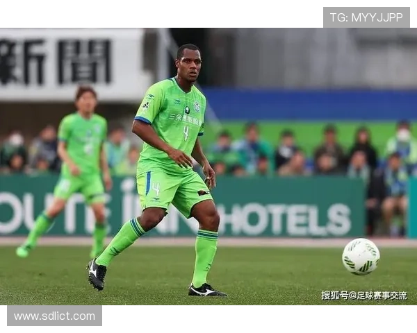 我是足球球星用第一人称讲述绿茵场上的奋斗与辉煌